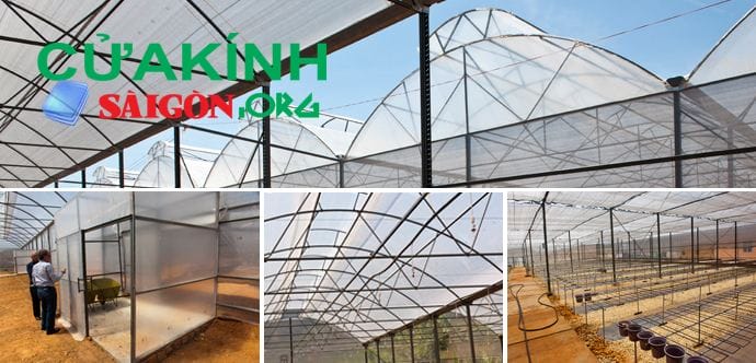 Mái vòm lợp bằng kính cường lực – Thiết kế mới mẻ cho ngôi nhà bạn 